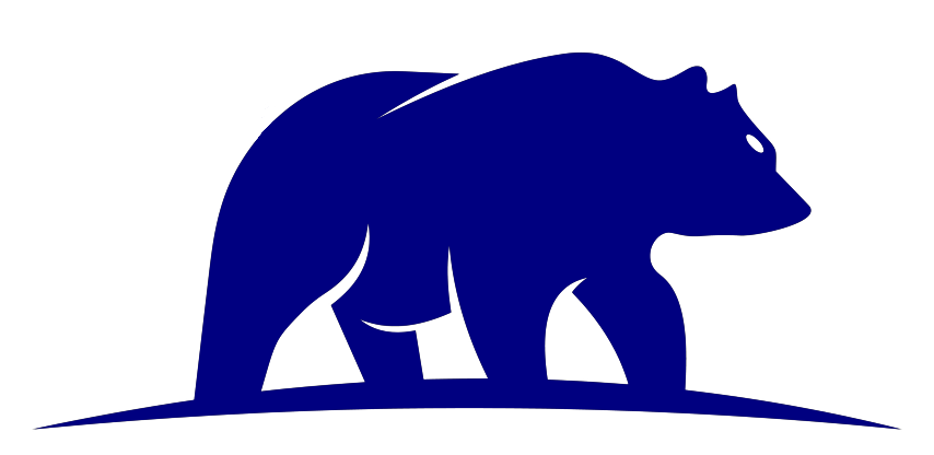 Bruin Financial Management